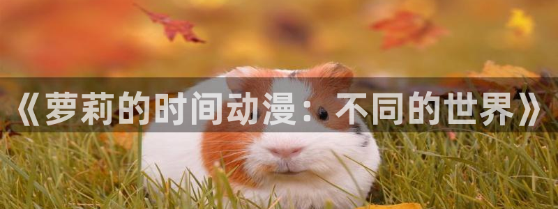 动漫天堂下载最新版：《萝莉的时间动漫：不同的世界》